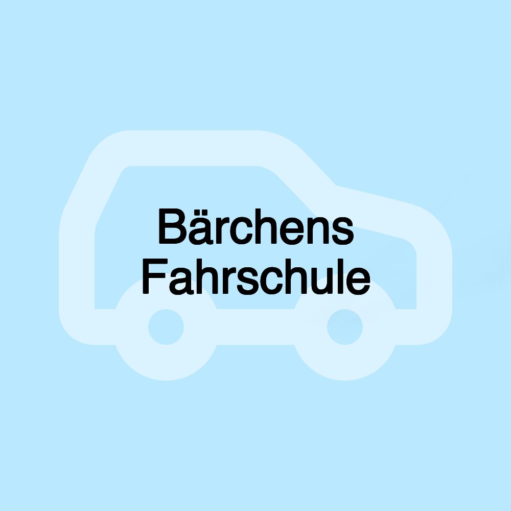 Bärchens Fahrschule