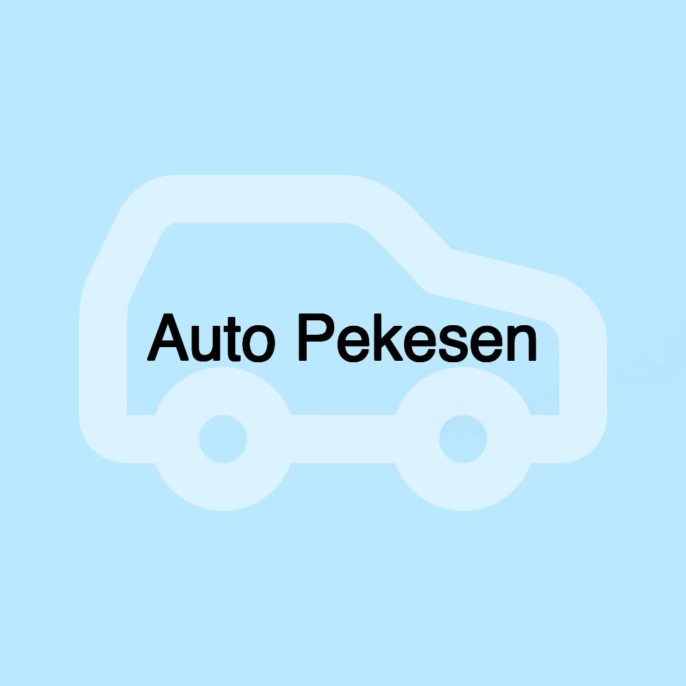 Auto Pekesen