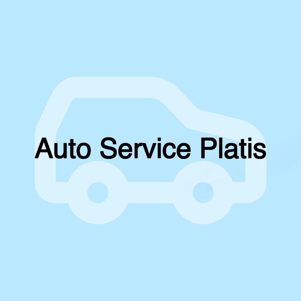 Auto Service Platis