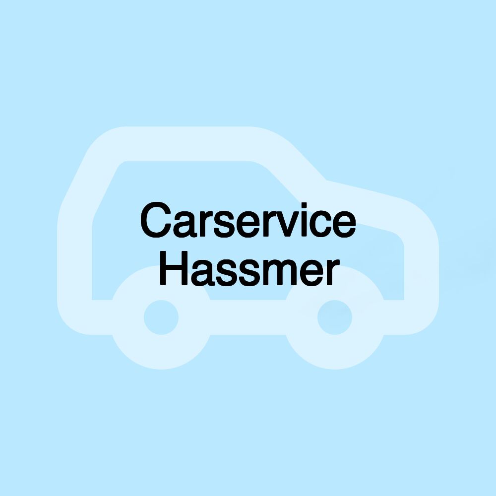 Carservice Hassmer