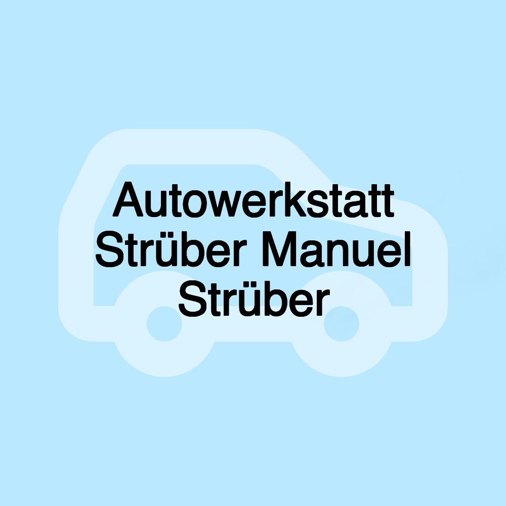 Autowerkstatt Strüber Manuel Strüber