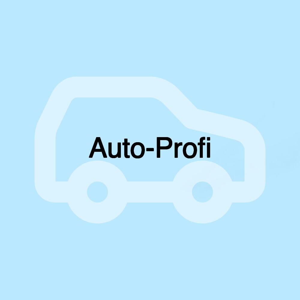 Auto-Profi