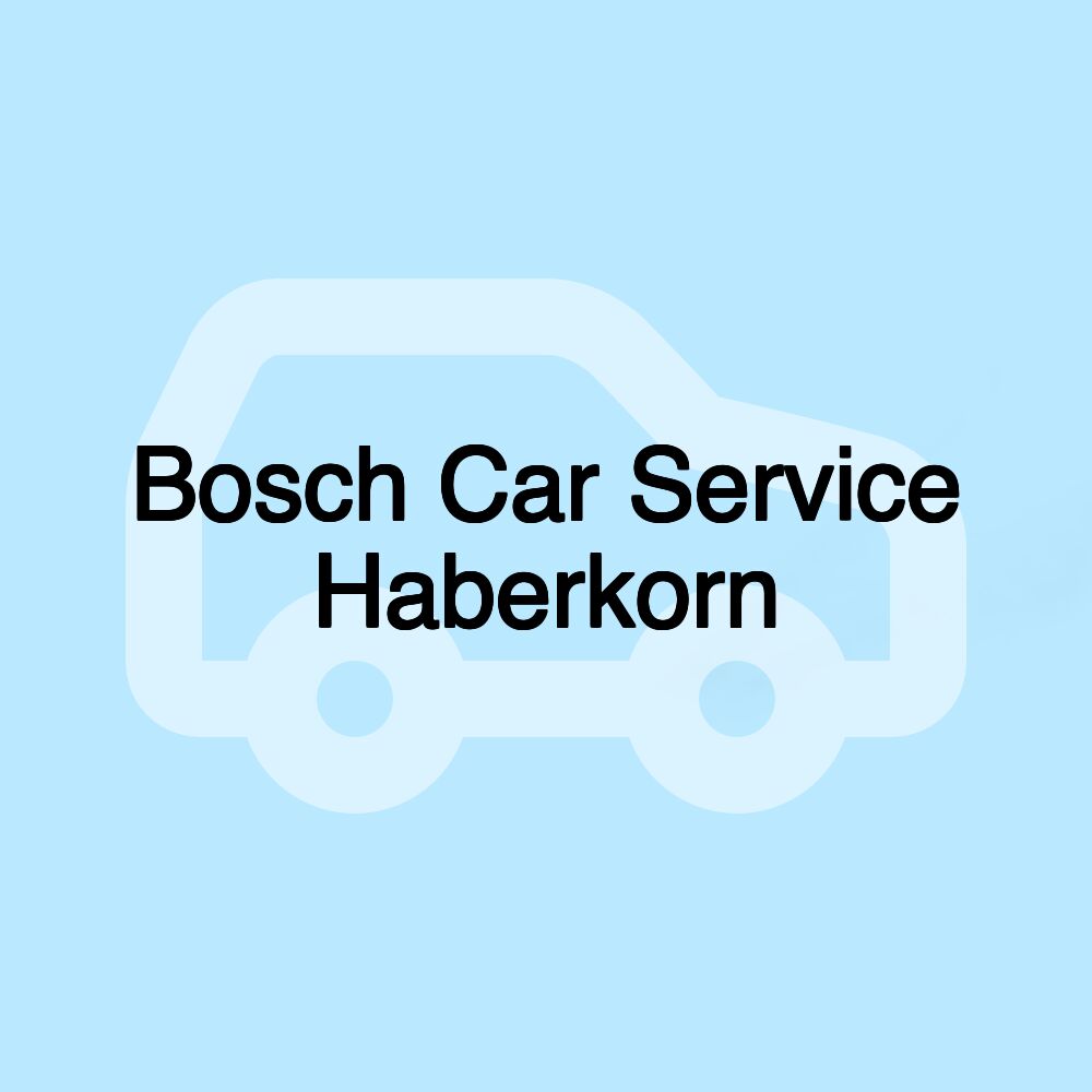 Bosch Car Service Haberkorn