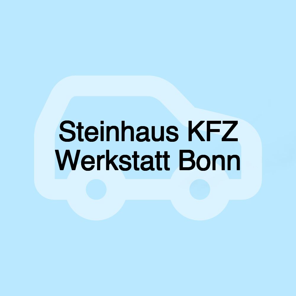 Steinhaus KFZ Werkstatt Bonn