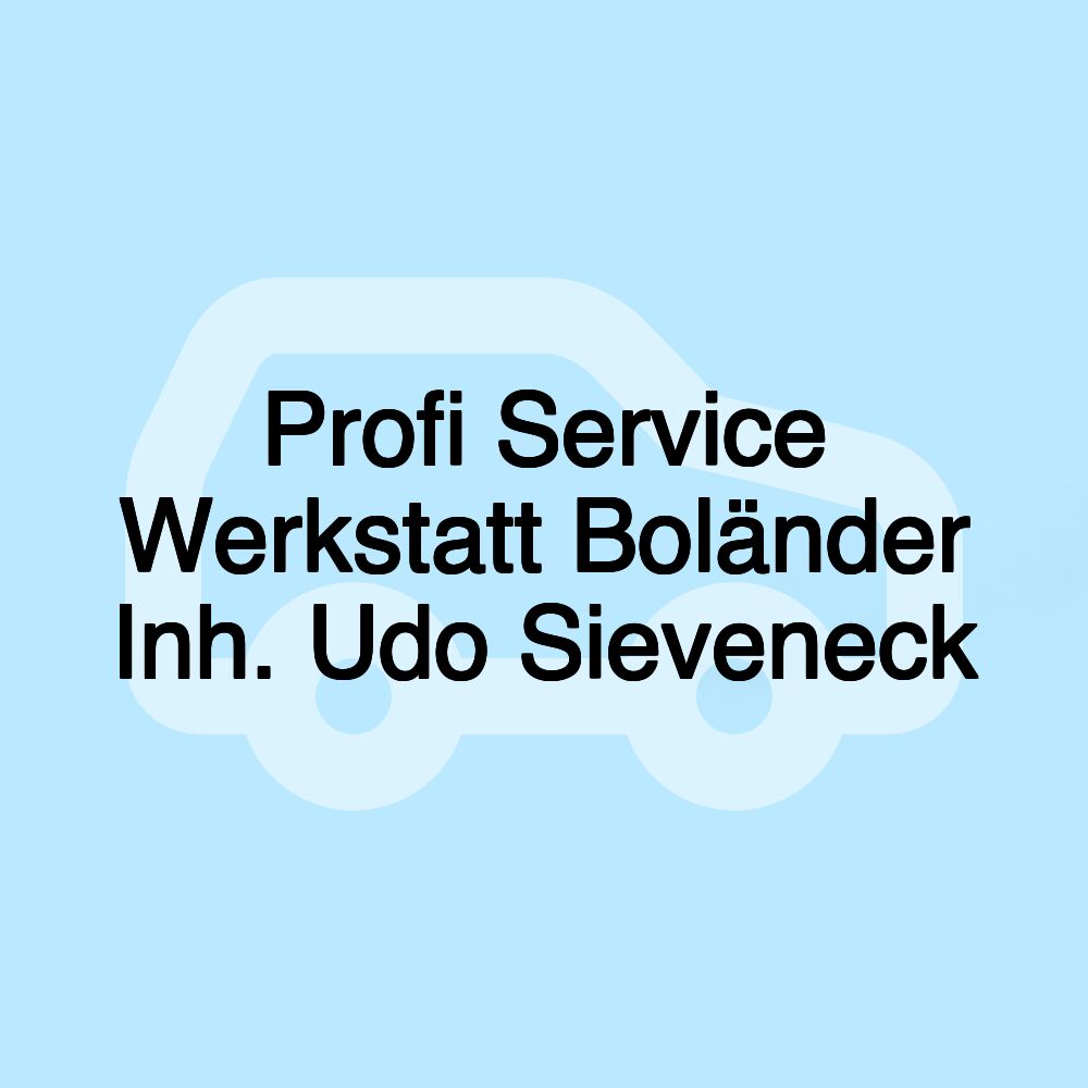 Profi Service Werkstatt Boländer Inh. Udo Sieveneck