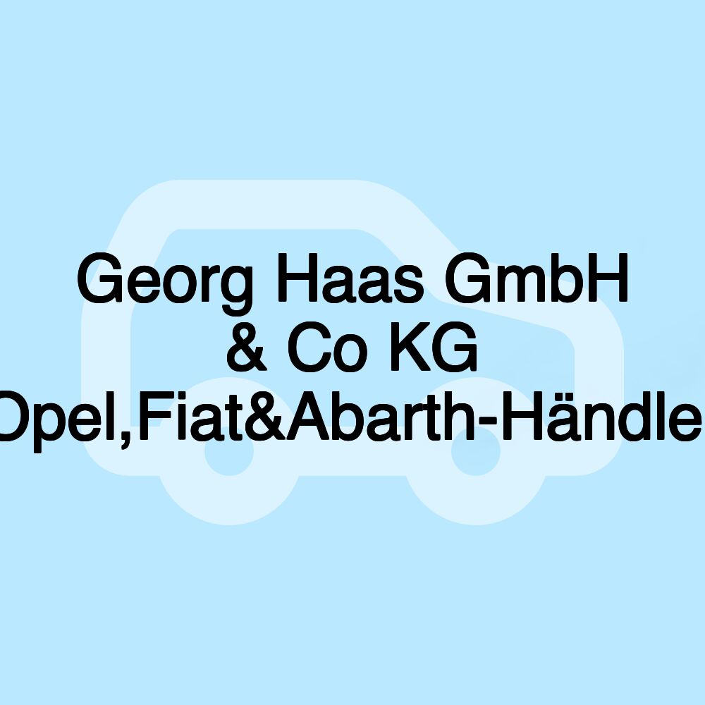 Georg Haas GmbH & Co KG (Opel,Fiat&Abarth-Händler)