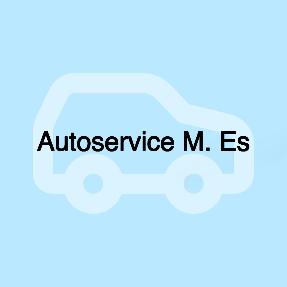 Autoservice M. Es