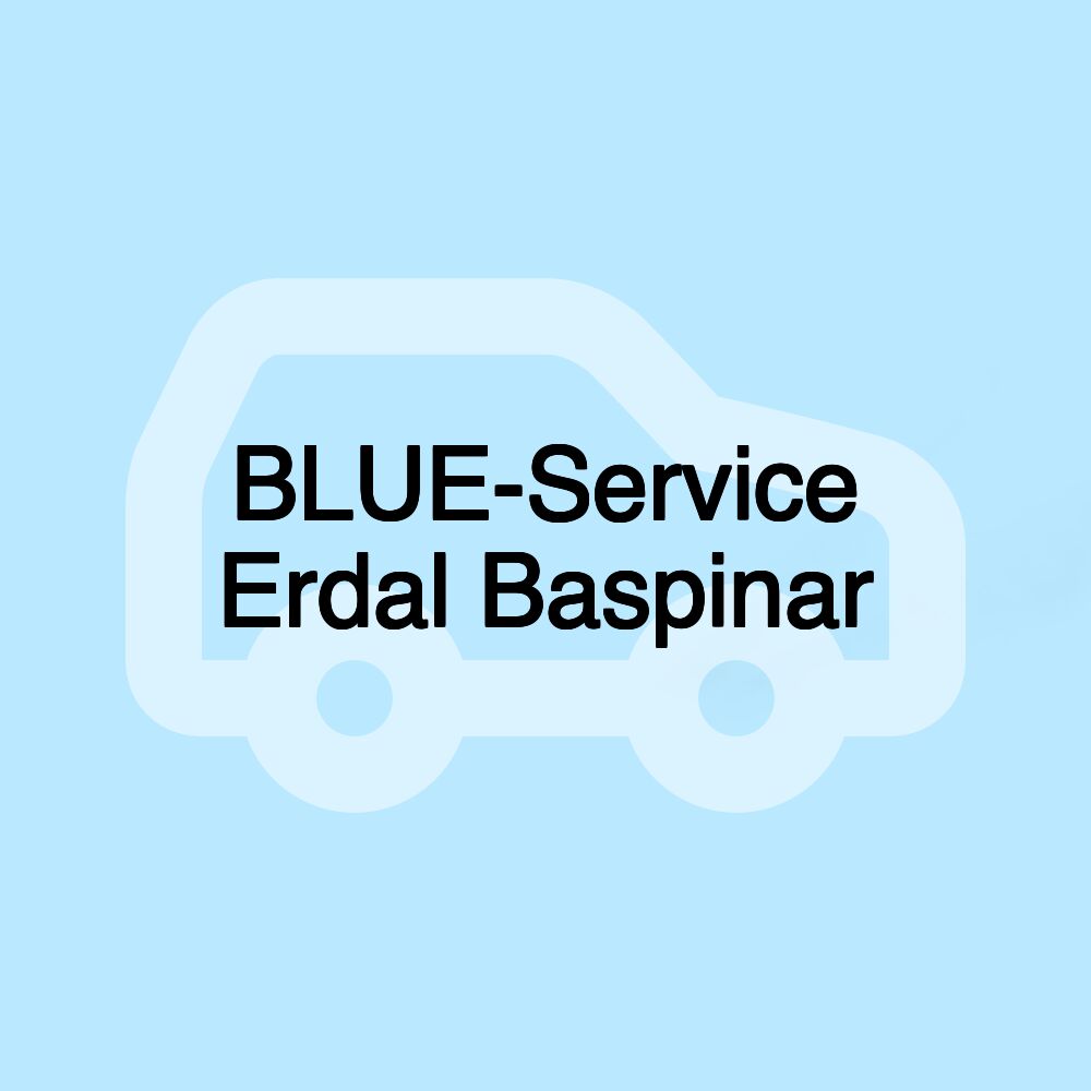 BLUE-Service Erdal Baspinar