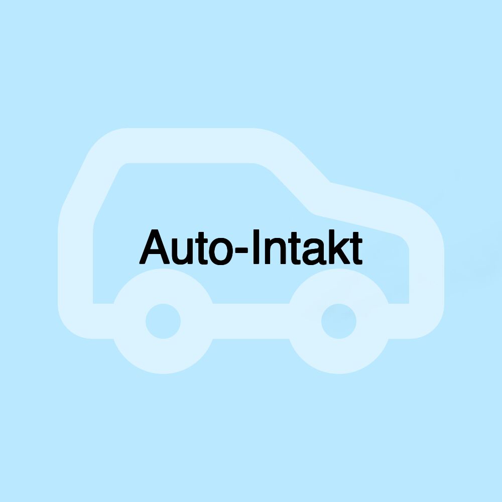 Auto-Intakt