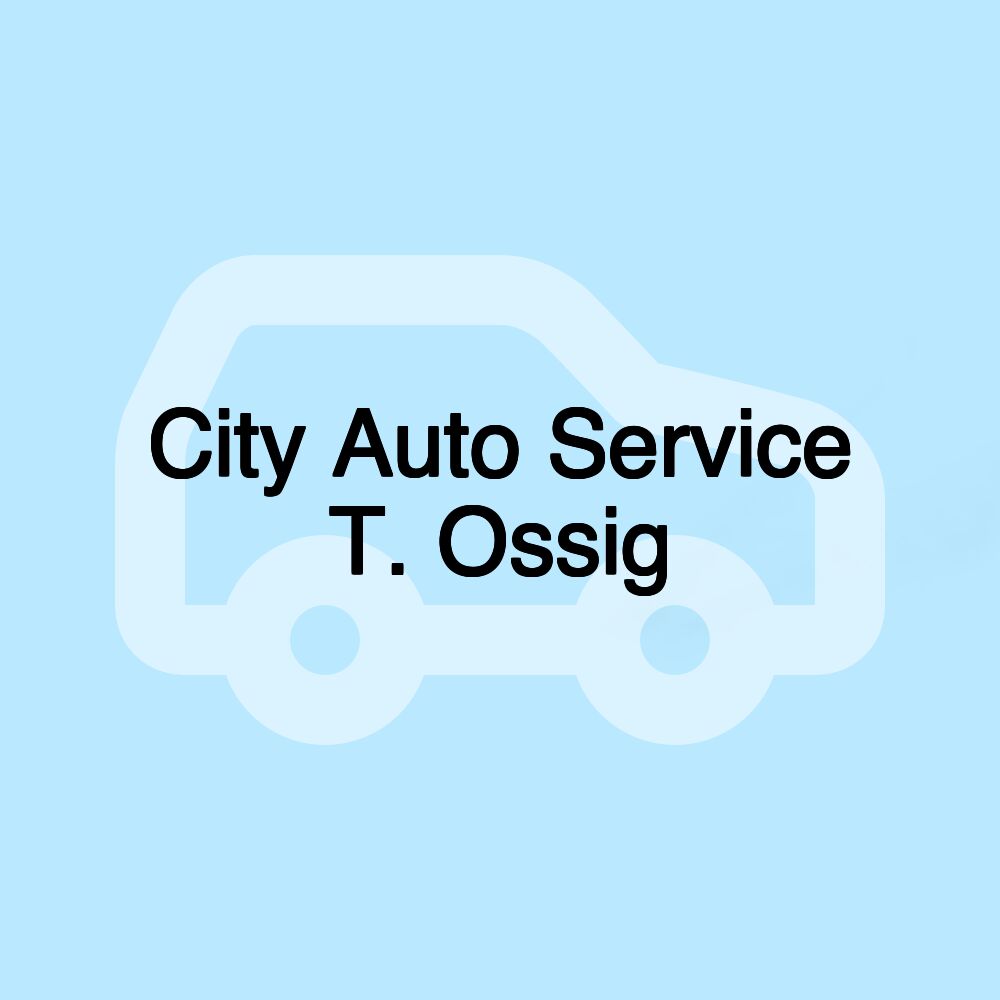 City Auto Service T. Ossig