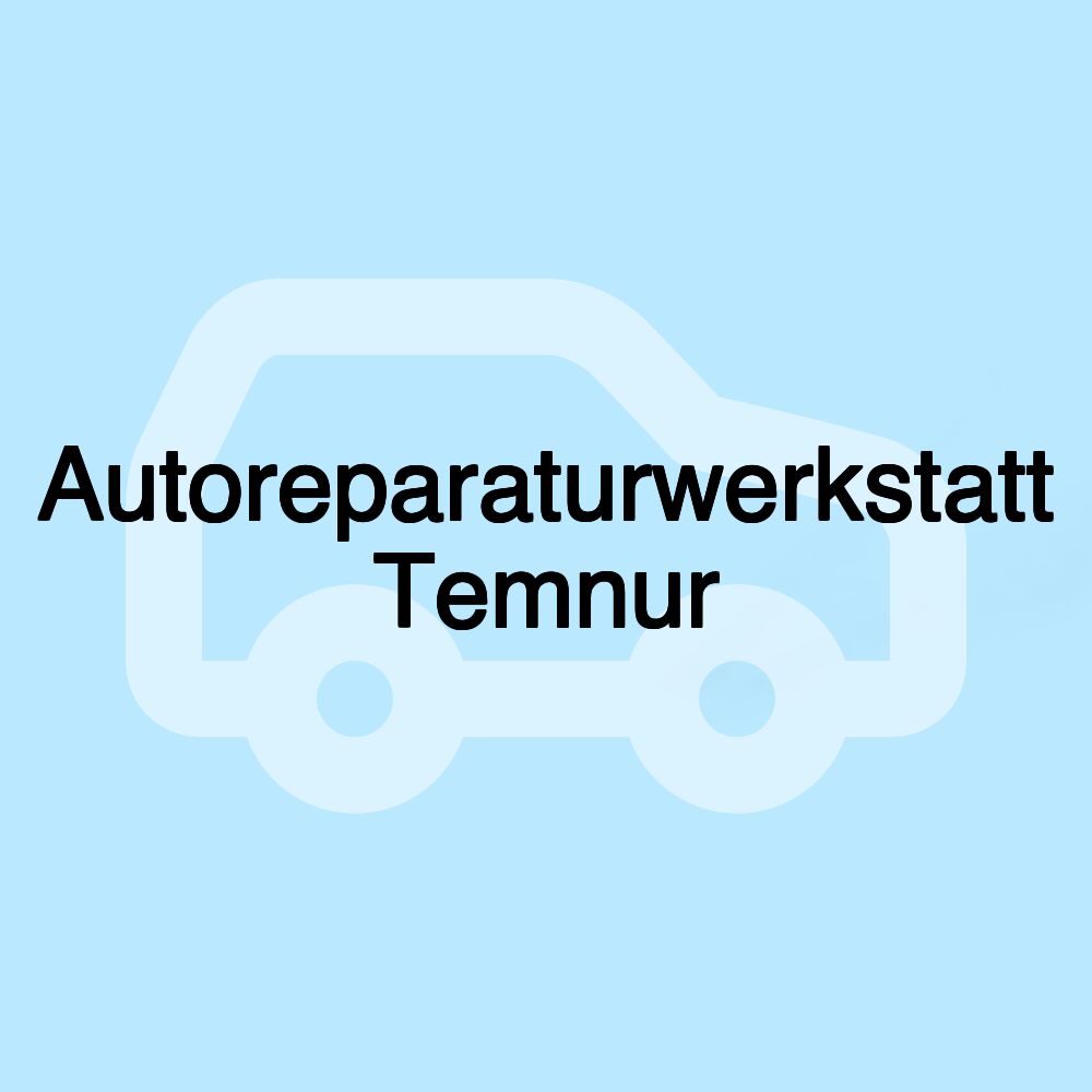 Autoreparaturwerkstatt Temnur