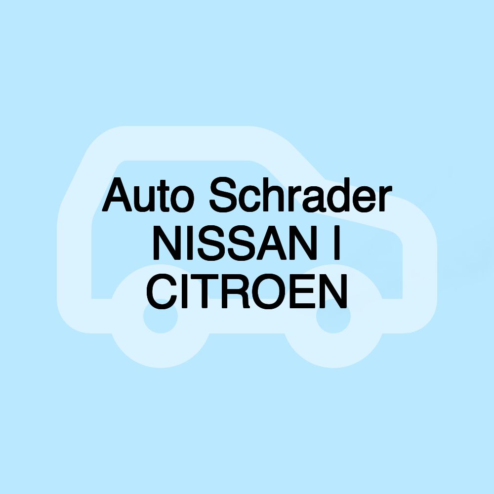 Auto Schrader NISSAN | CITROEN