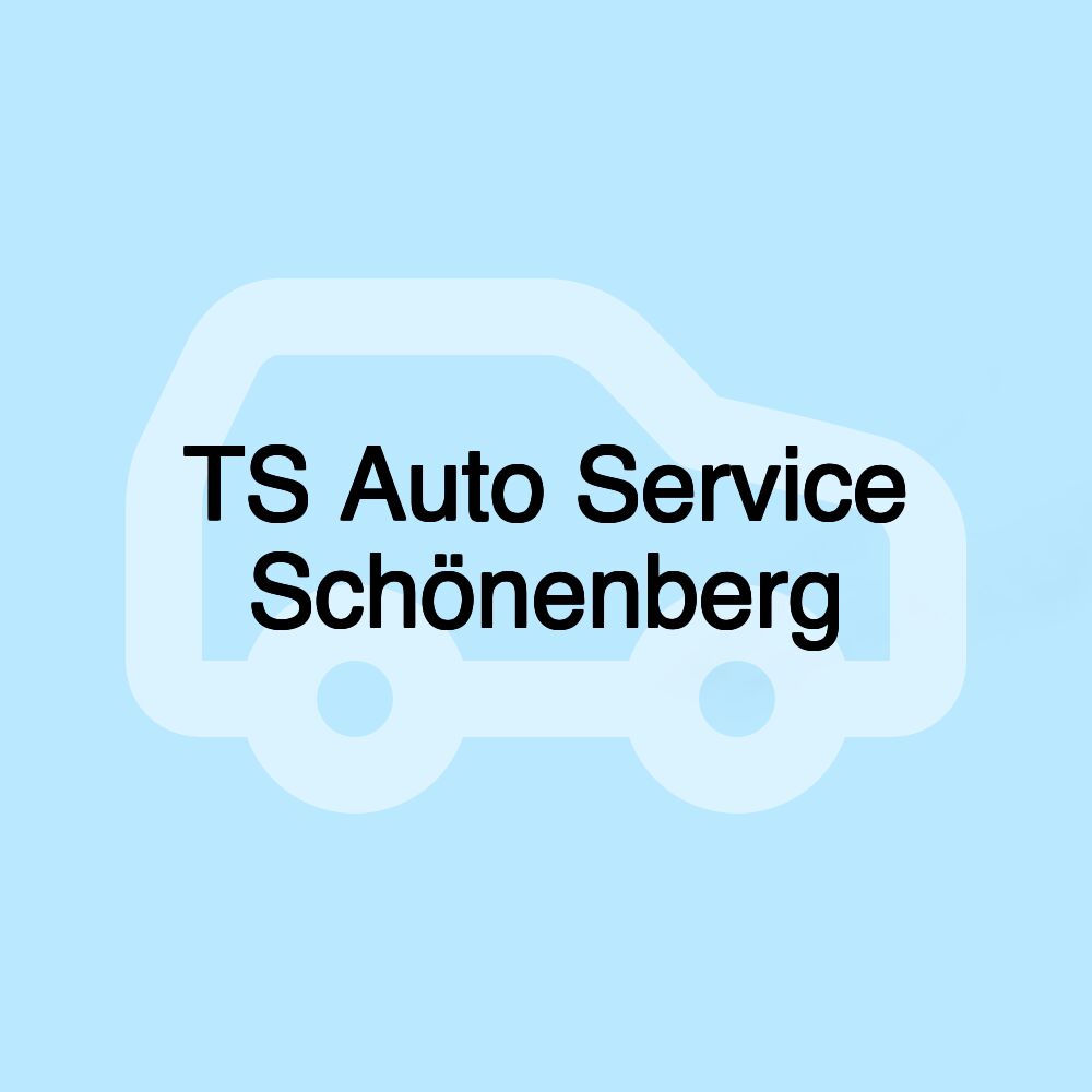 TS Auto Service Schönenberg