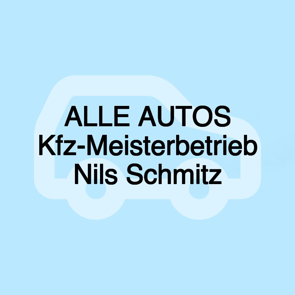 ALLE AUTOS Kfz-Meisterbetrieb Nils Schmitz