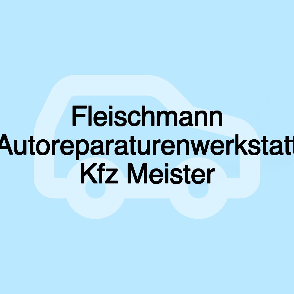 Fleischmann Autoreparaturenwerkstatt Kfz Meister