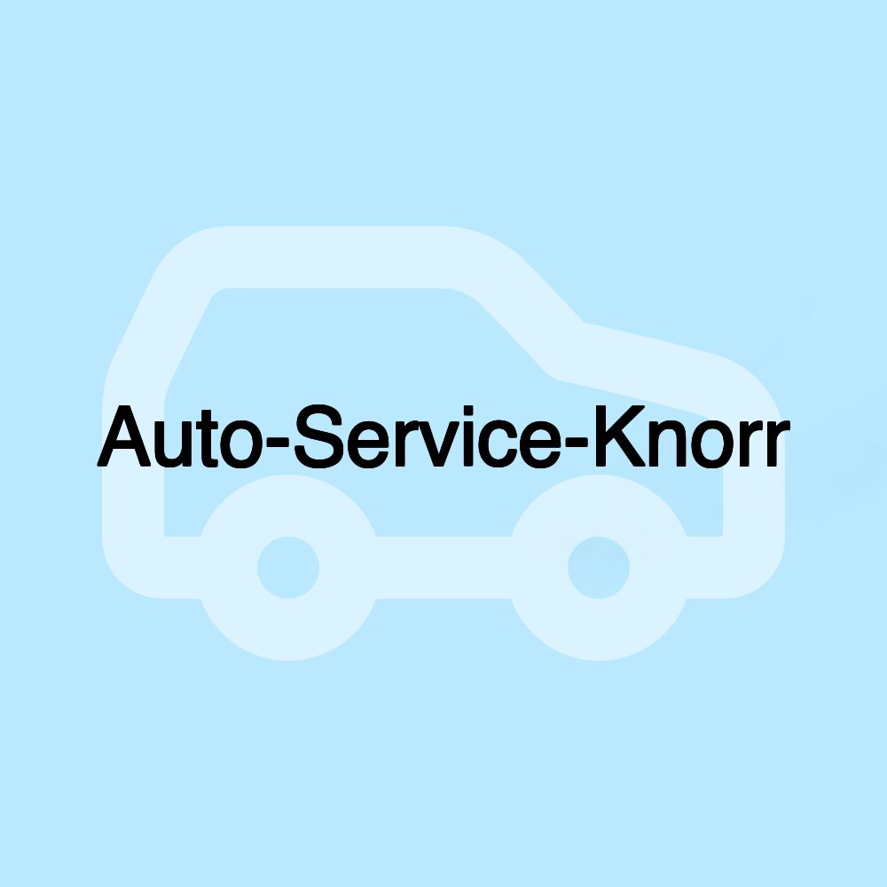 Auto-Service-Knorr