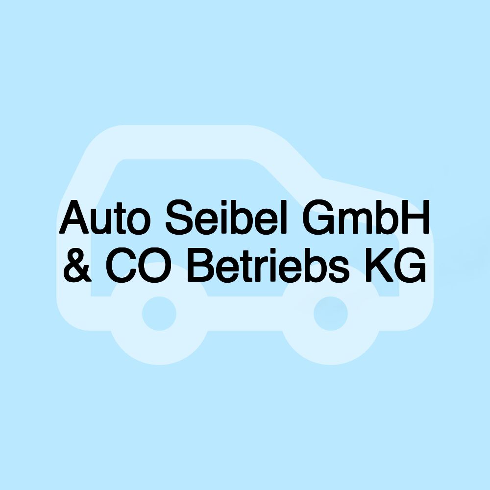 Auto Seibel GmbH & CO Betriebs KG