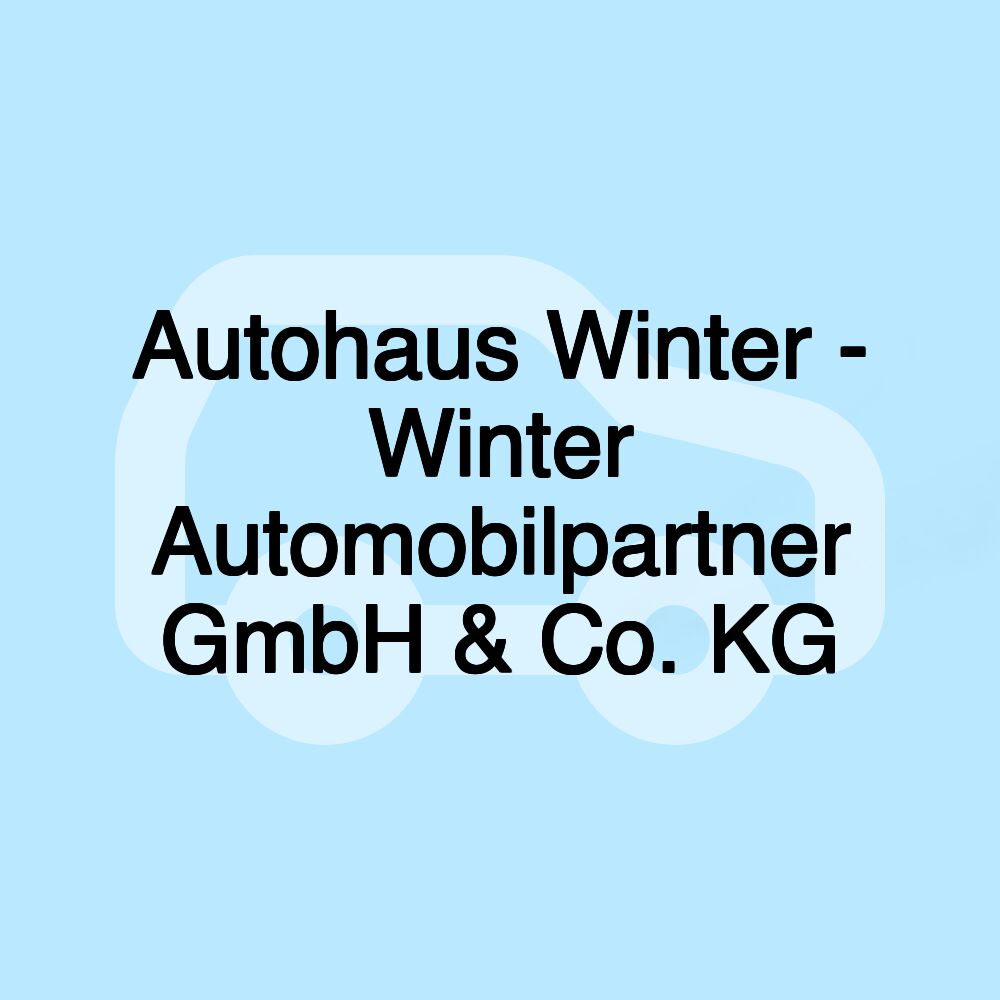 Autohaus Winter - Winter Automobilpartner GmbH & Co. KG