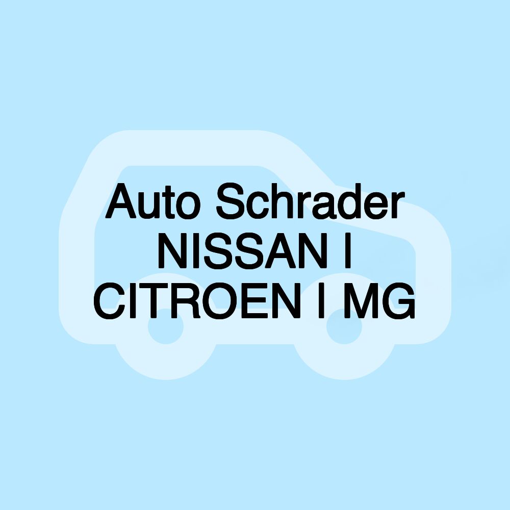 Auto Schrader NISSAN | CITROEN | MG