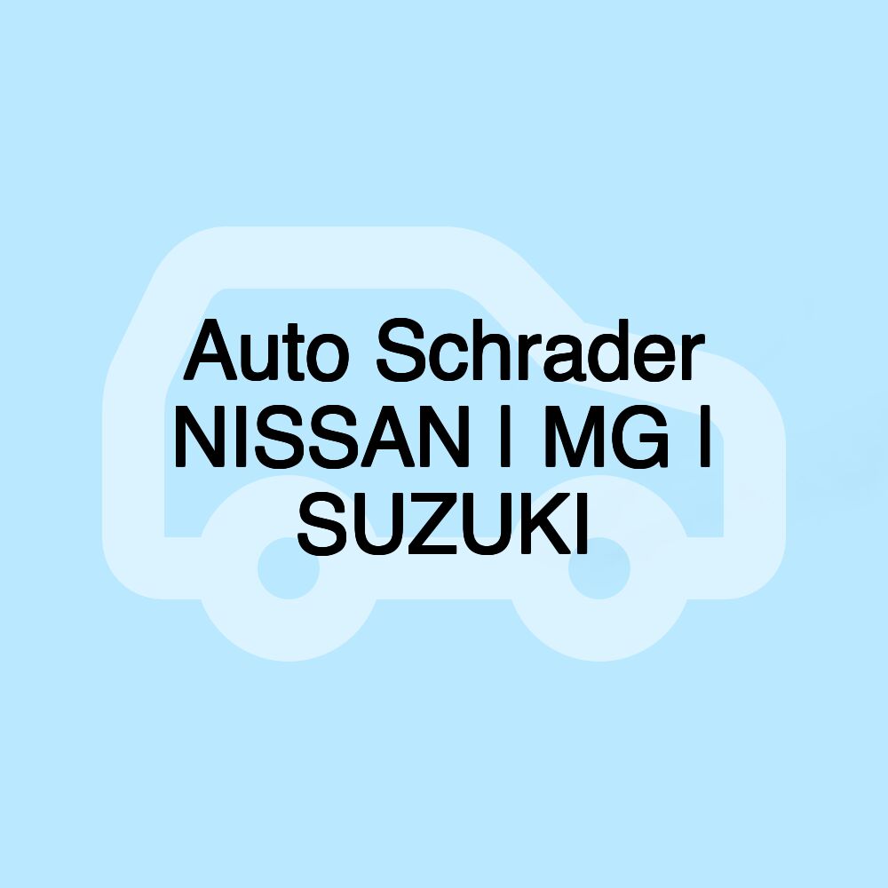 Auto Schrader NISSAN | MG | SUZUKI