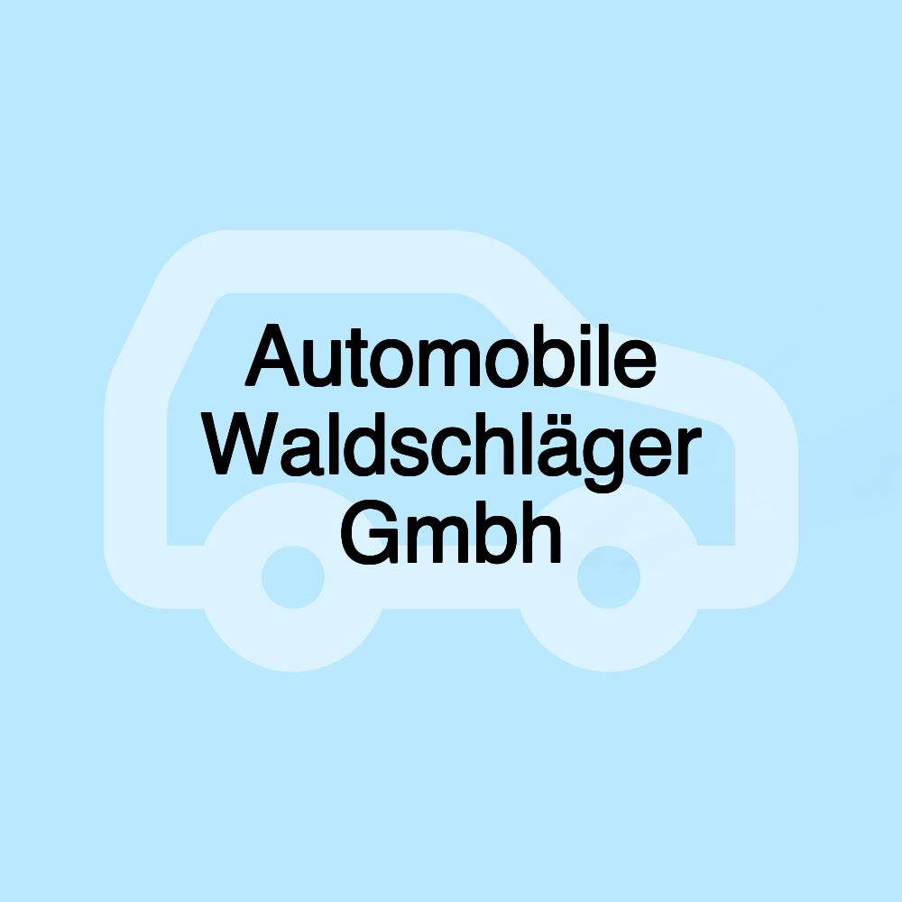 Automobile Waldschläger Gmbh