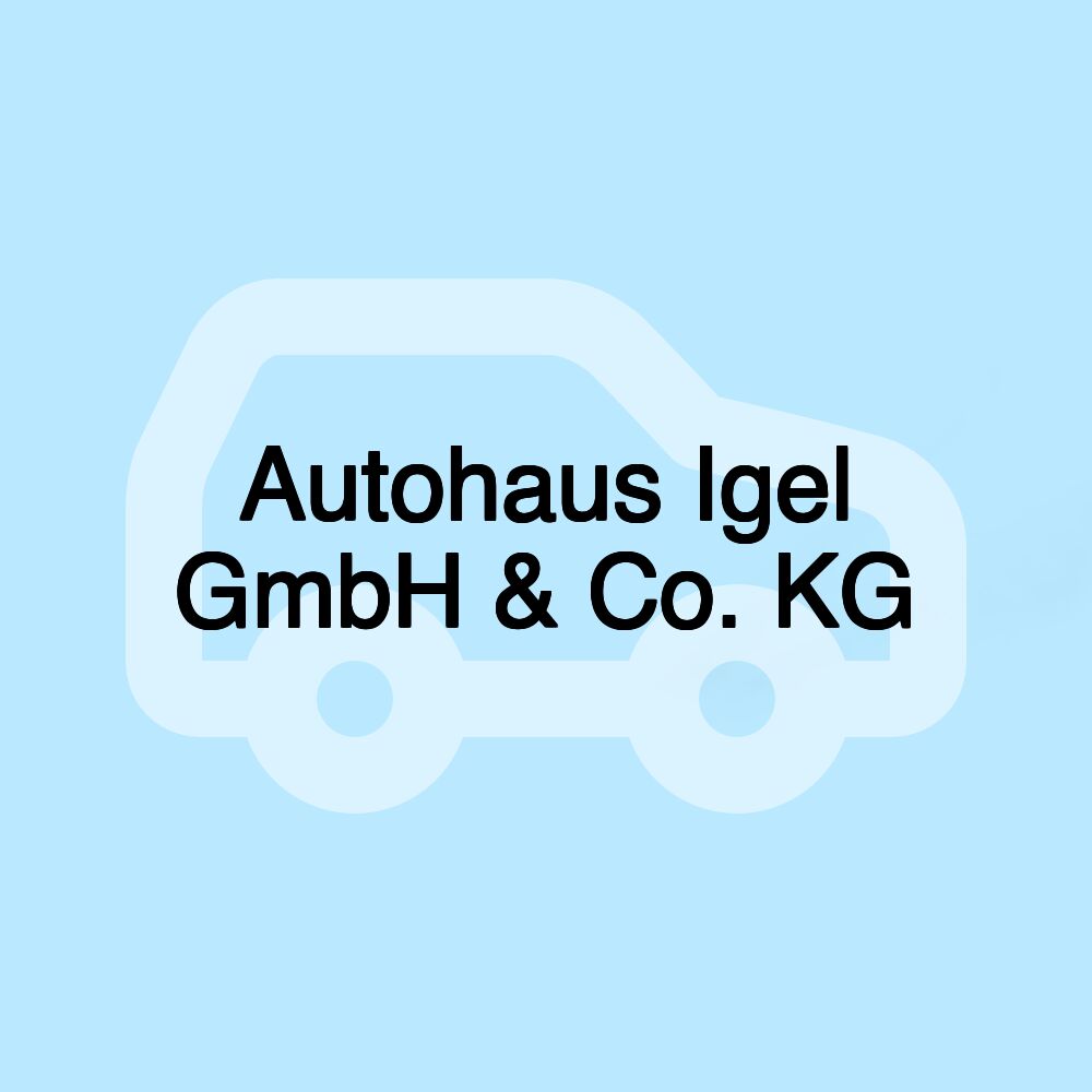 Autohaus Igel GmbH & Co. KG