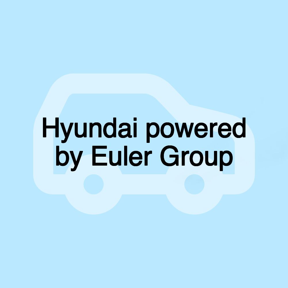 Hyundai powered by Euler Group