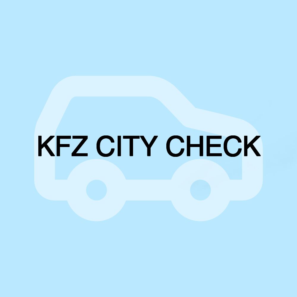 KFZ CITY CHECK