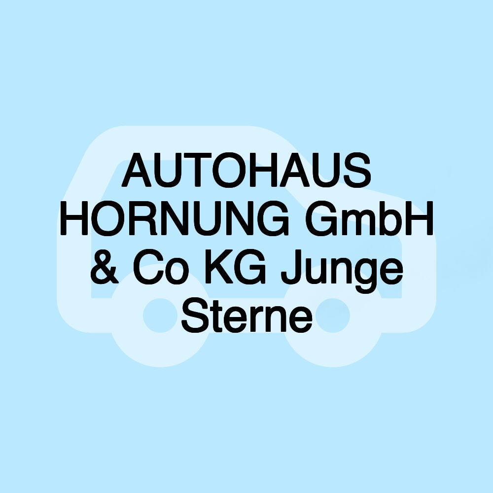 AUTOHAUS HORNUNG GmbH & Co KG Junge Sterne