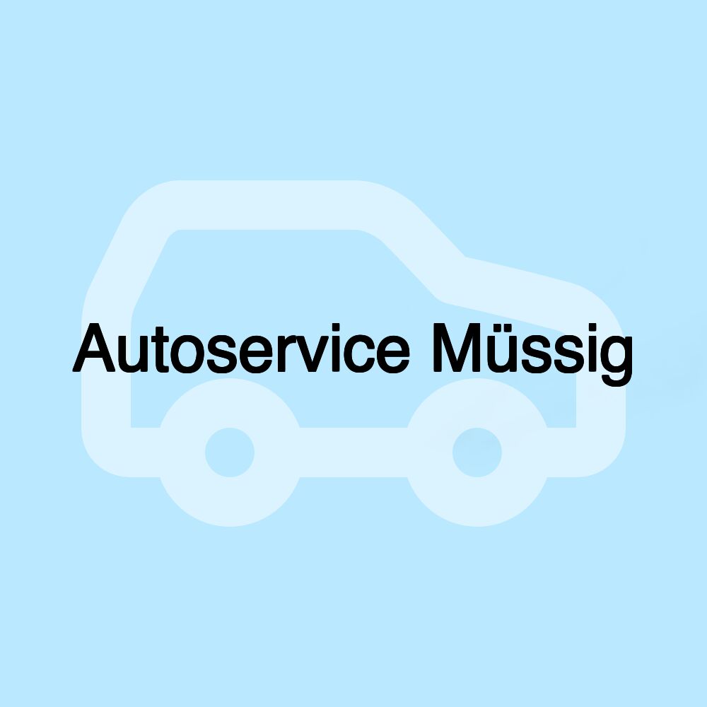 Autoservice Müssig