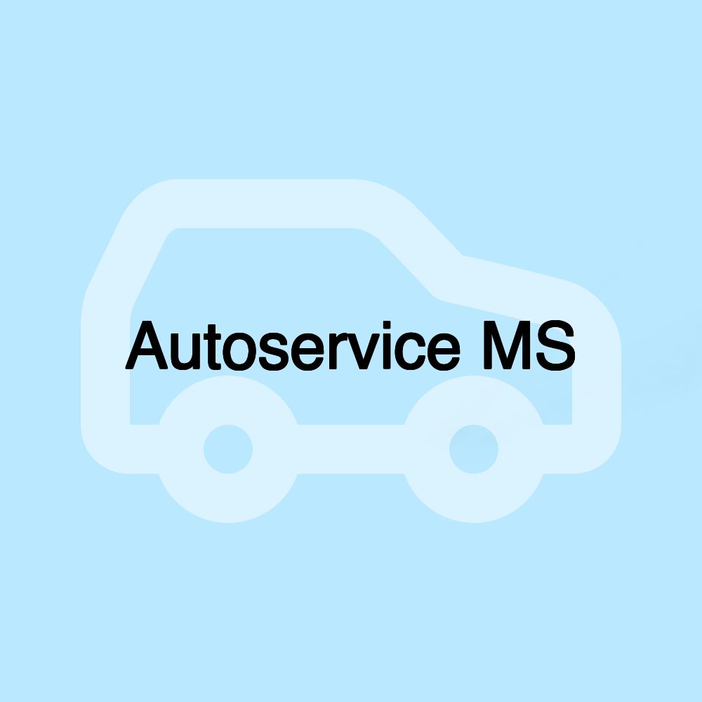 Autoservice MS