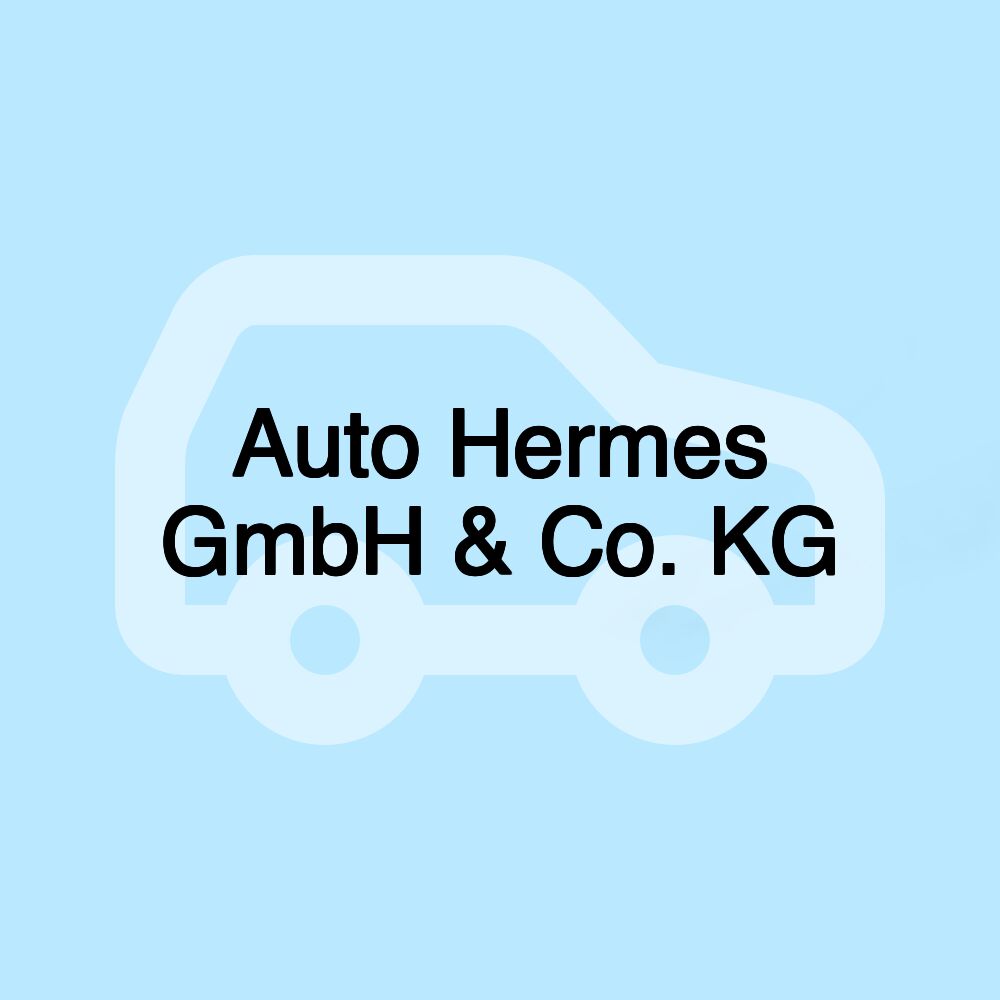 Auto Hermes GmbH & Co. KG