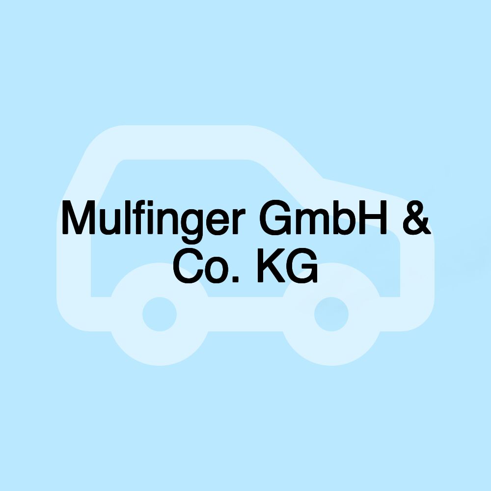 Mulfinger GmbH & Co. KG