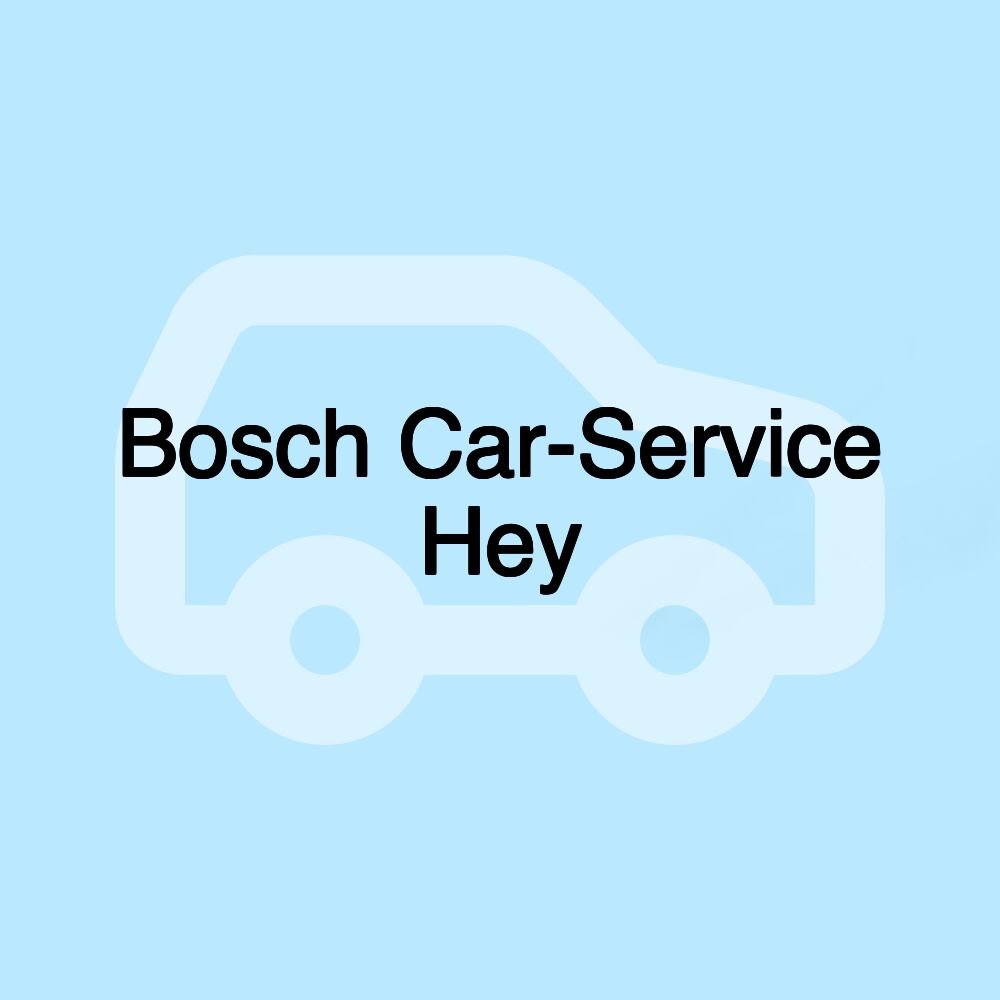 Bosch Car-Service Hey