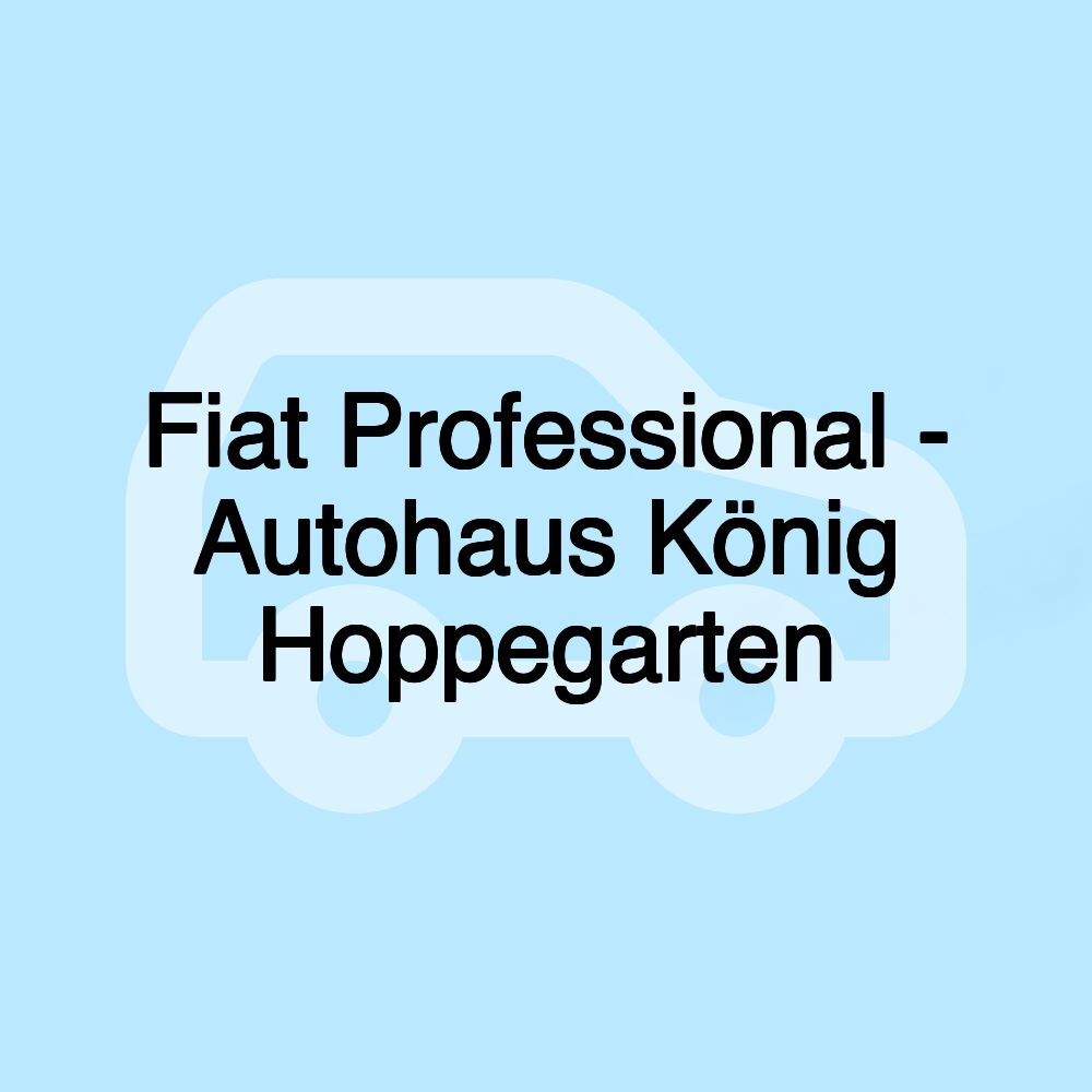 Fiat Professional - Autohaus König Hoppegarten