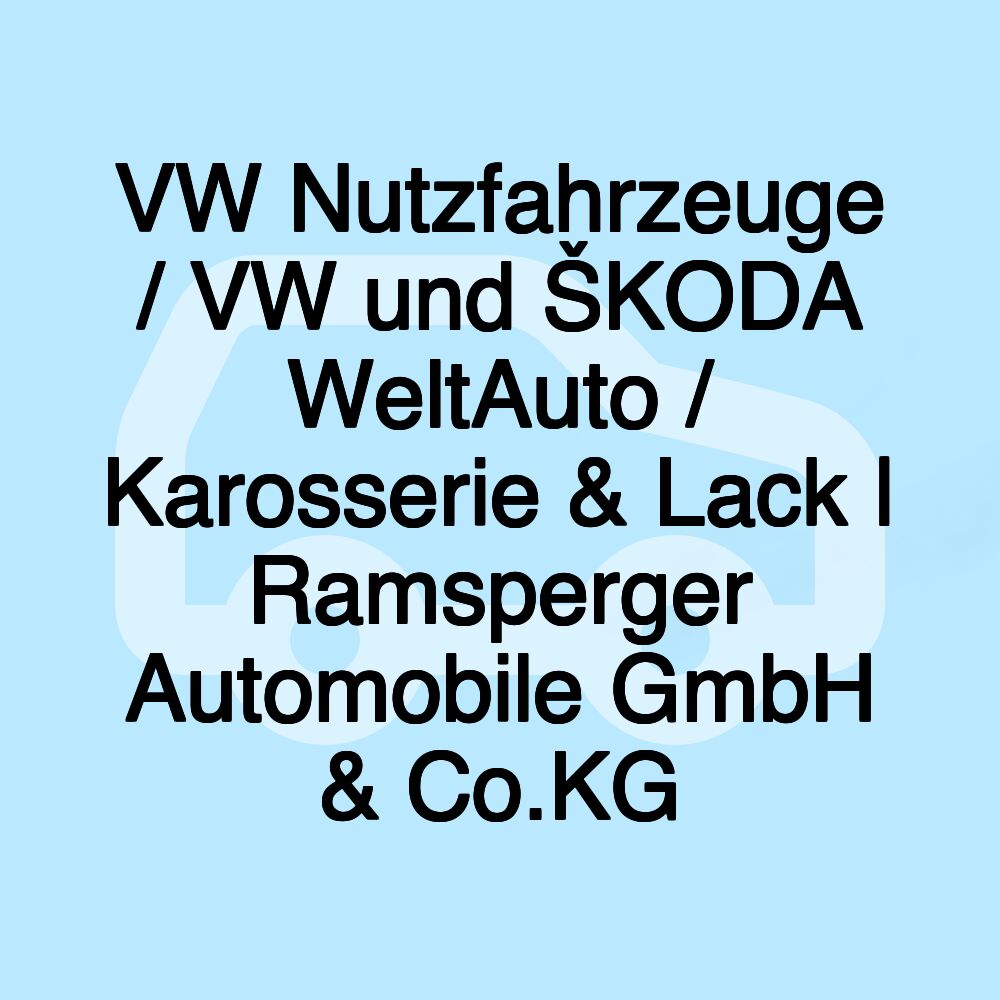 VW Nutzfahrzeuge / VW und ŠKODA WeltAuto / Karosserie & Lack | Ramsperger Automobile GmbH & Co.KG