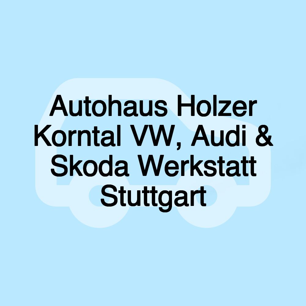 Autohaus Holzer Korntal VW, Audi & Skoda Werkstatt Stuttgart