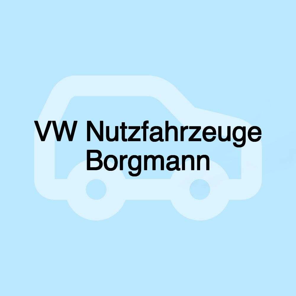 VW Nutzfahrzeuge Borgmann