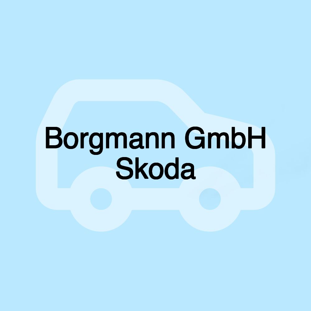 Borgmann GmbH Skoda