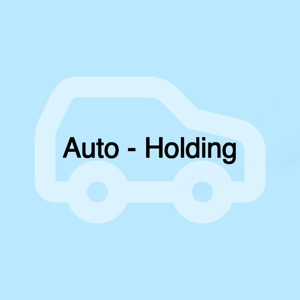 Auto - Holding