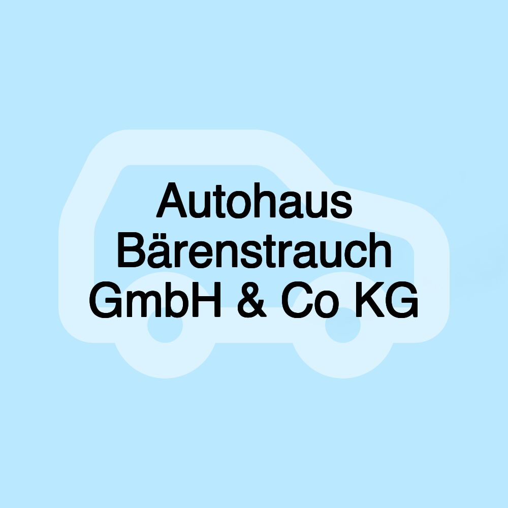 Autohaus Bärenstrauch GmbH & Co KG