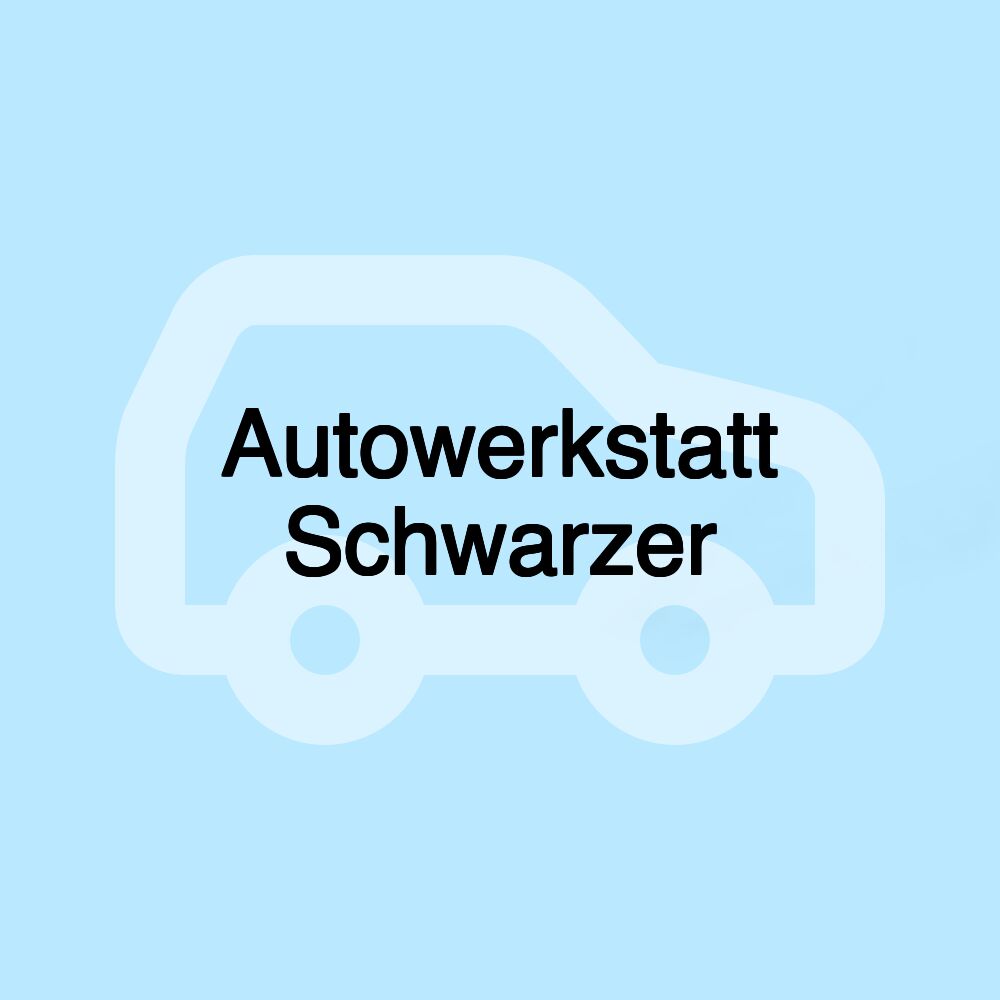 Autowerkstatt Schwarzer