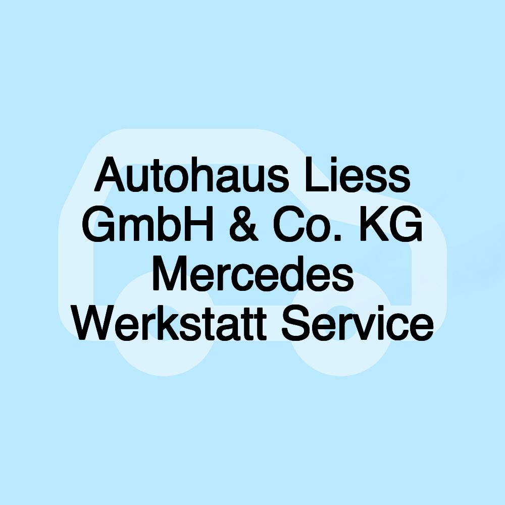 Autohaus Liess GmbH & Co. KG Mercedes Werkstatt Service