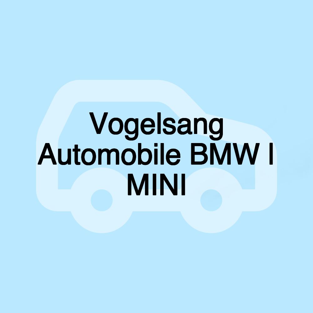 Vogelsang Automobile BMW | MINI