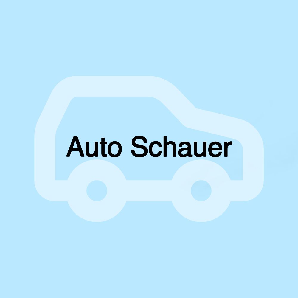 Auto Schauer