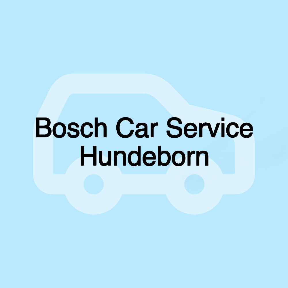 Bosch Car Service Hundeborn