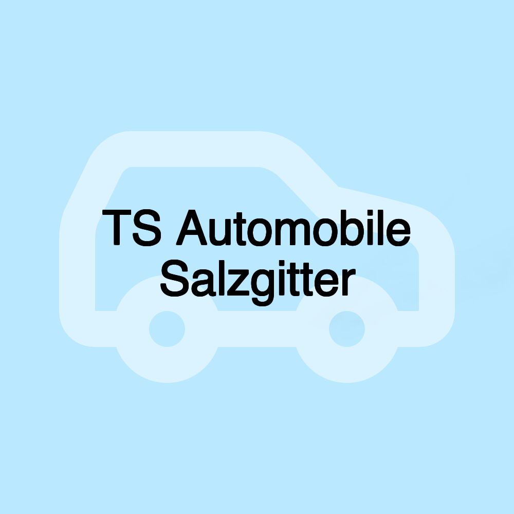 TS Automobile Salzgitter