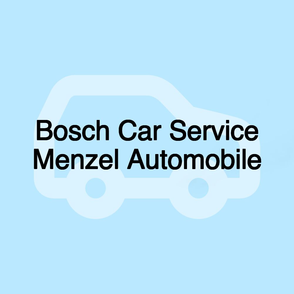 Bosch Car Service Menzel Automobile