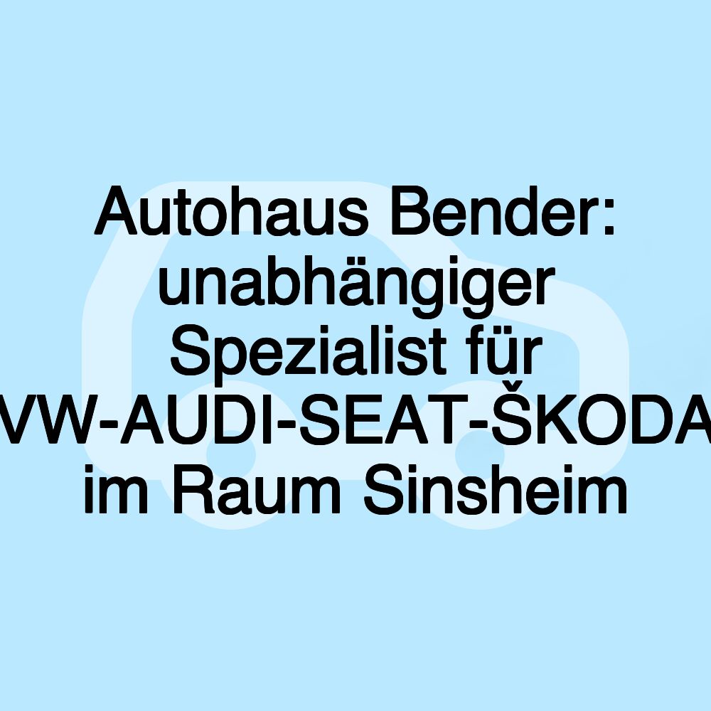 Autohaus Bender: unabhängiger Spezialist für VW-AUDI-SEAT-ŠKODA im Raum Sinsheim