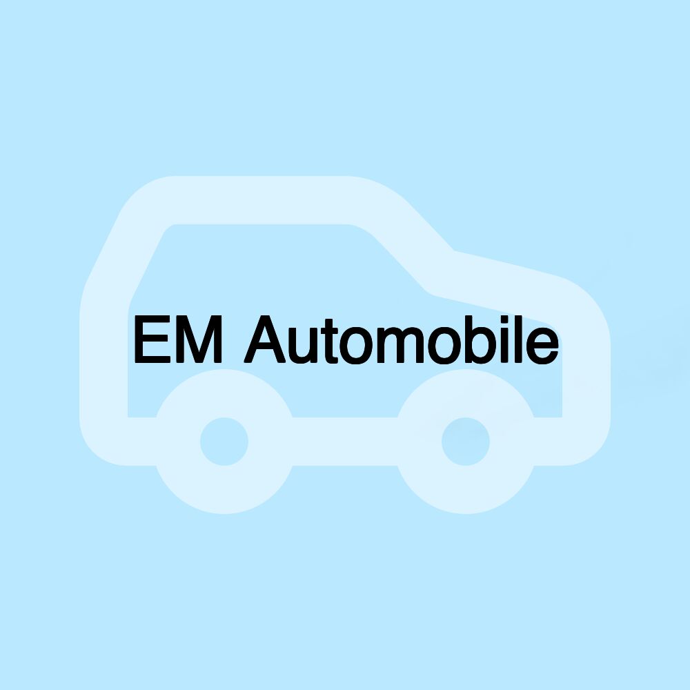 EM Automobile